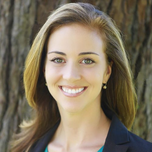 Sorin Capital Funds - Danica Elliot